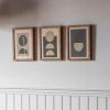 Cedar & Sage Set Of 3 Solar Eclipse Framed Prints