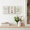 Dunelm Set Of 3 Greenery Capped Canvases