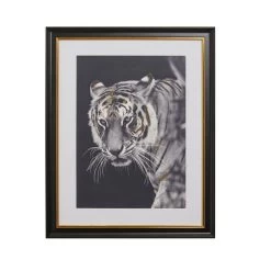 Dunelm Tiger Framed Print -Comfortable Home 30766113 alt02