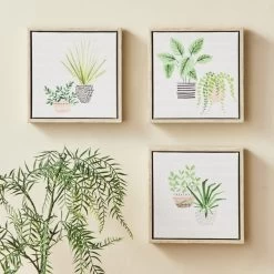 Dunelm Set Of 3 Plants Canvases